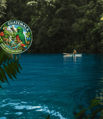 laguna brava abel juarez