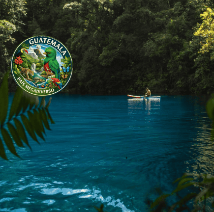 laguna brava abel juarez