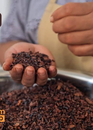 Vive Cacao de Teddy Ruiz Chocolate Artesanal desde Cobán que Conquista Corazones – SoyMigrante.com REVISTA Person in an apron holds cacao nibs over a metal bowl; 'VIVE CACAO' and 'SoyMigrante.com MERCADO' appear in the image.