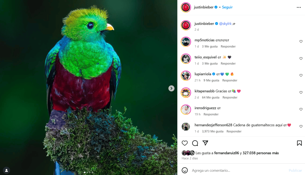 Vihuela de colores, presente en la revista SoyMigrante.com, destacando temas de migración y cultura en América Latina. – SoyMigrante.com REVISTA