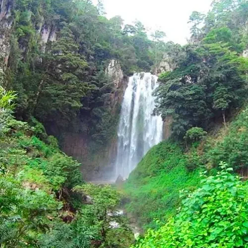 Majestuosa cascada en medio de un exuberante paisaje selvático, símbolo de la belleza natural y la biodiversidad en los destinos turísticos de naturaleza en México y América Latina. – SoyMigrante.com REVISTA
