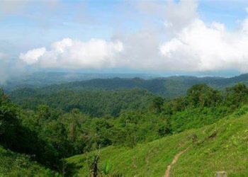 Cerro San Gil: Un tesoro natural en el corazón de Izabal