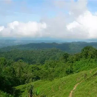 Cerro San Gil: Un tesoro natural en el corazón de Izabal