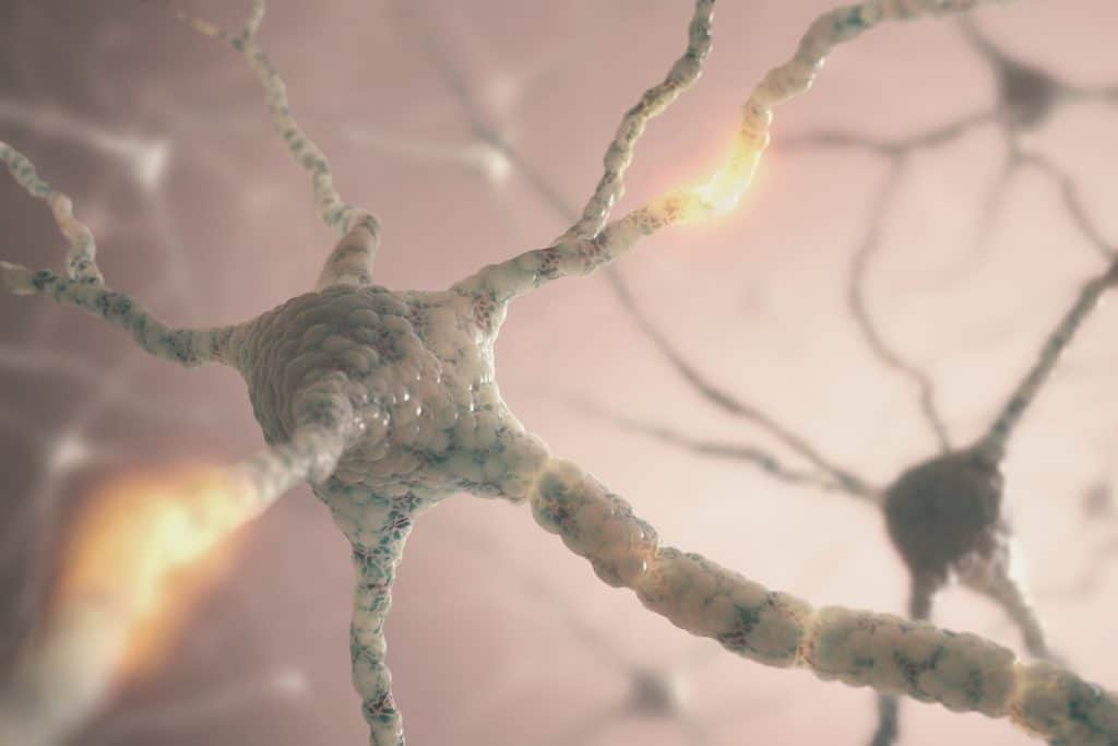 Células neuronales, imagen de neurons en el cerebro, representación de la actividad cerebral, ilustración científica de neuronas y sinapsis, enfocada en salud mental, neurociencia y neuroplasticidad. – SoyMigrante.com REVISTA