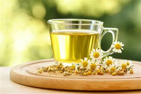 El té de manzanilla sirve para calmar los nervios. (Foto: INTECAP) – SoyMigrante.com REVISTA El té de manzanilla sirve para calmar los nervios. (Foto: INTECAP) – SoyMigrante.com REVISTA