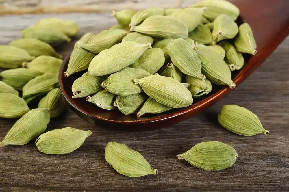 Semillas de cardamomo en una cuchara de madera, ingrediente popular en la cocina y la cultura migrante. – SoyMigrante.com REVISTA
