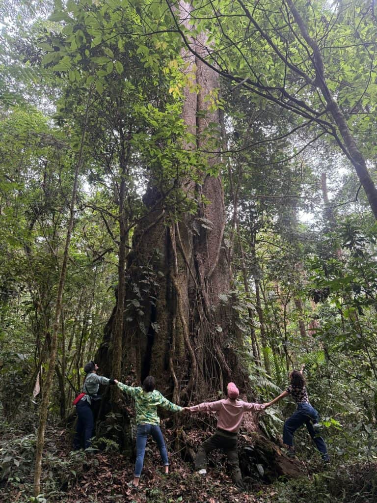 Ancianos en la naturaleza, explorando y apreciando la biodiversidad en un bosque tropical, promoviendo ecoturismo y conservación del medio ambiente. – SoyMigrante.com REVISTA