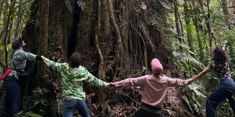 sierra de las minas 1 feature 2 – SoyMigrante.com REVISTA