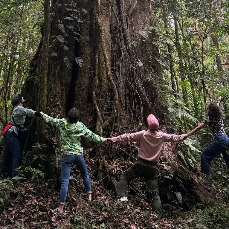 Una inmensa y frágil joya verde de Guatemala que debemos conservar: la Sierra de las Minas