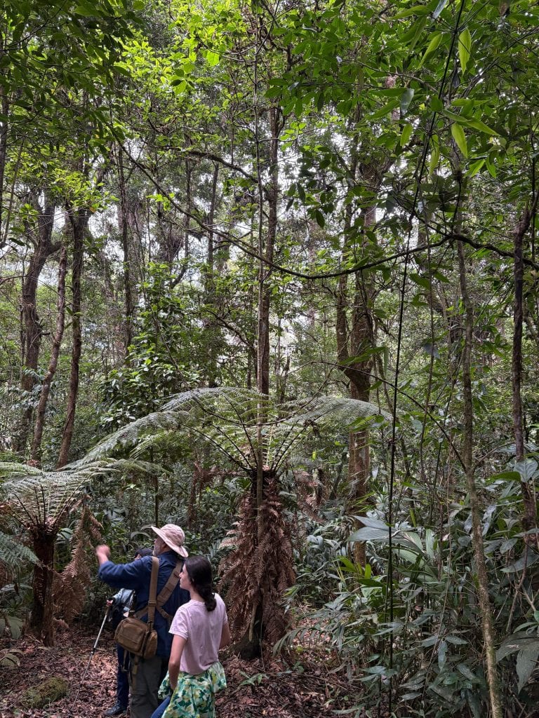 Veda y ecoturismo en la selva tropical con turistas explorando la biodiversidad del bosque húmedo. – SoyMigrante.com REVISTA