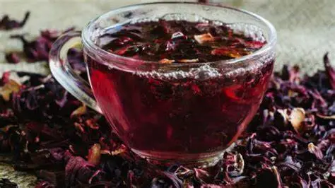 El té de jamaica es de los más conocidos en Guatemala. (Foto: INTECAP) – SoyMigrante.com REVISTA El té de jamaica es de los más conocidos en Guatemala. (Foto: INTECAP) – SoyMigrante.com REVISTA