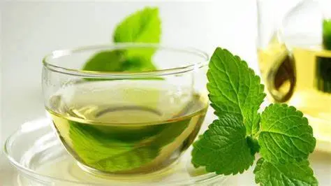 El té de menta ayuda con la digestión. (Foto: INTECAP) – SoyMigrante.com REVISTA El té de menta ayuda con la digestión. (Foto: INTECAP) – SoyMigrante.com REVISTA