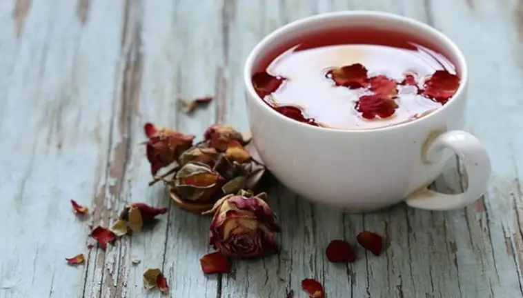 El té de rosa de castilla es consumido por su sabor. (Foto: INTECAP) – SoyMigrante.com REVISTA El té de rosa de castilla es consumido por su sabor. (Foto: INTECAP) – SoyMigrante.com REVISTA