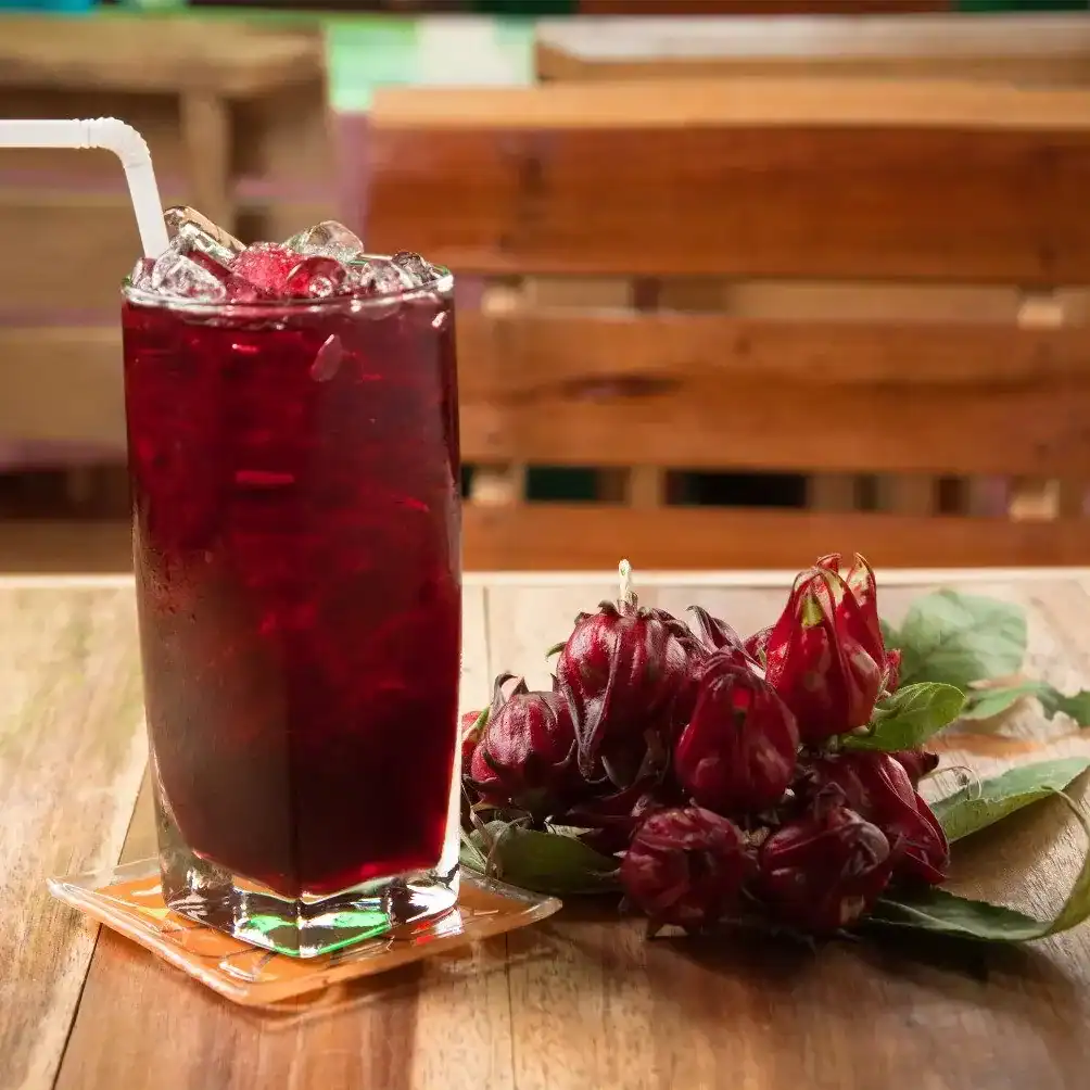 La rosa de Jamaica: tradición, sabor y salud en un refresco muy guatemalteco