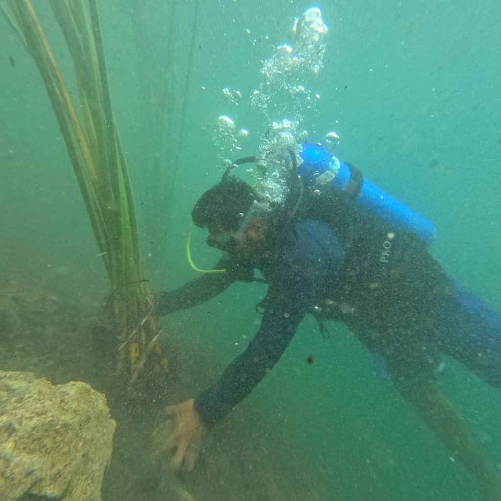 Sumergido en agua, buceador con equipo de protección, explorando entorno acuático, usando máscara de buceo, cerca de estructura sumergida, ambiente subacuático, en busca de conservación o investigación.