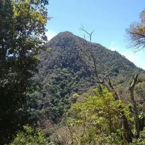 Montaña frondosa en un entorno natural, abundante vegetación y árboles, cielo azul, paisaje forestal en un área protegida, ideal para ecoturismo y conservación ambiental.