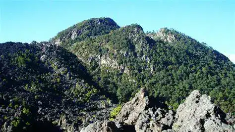Paisaje montañoso con vegetación densa y rocas, emblemático de la región, ilustrando la belleza natural y la importancia del medio ambiente en la cultura migrante y las comunidades rurales.