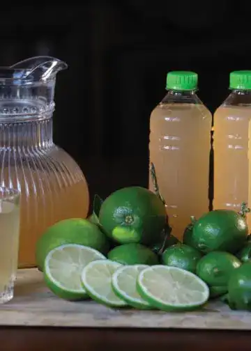 Refresco de limón y lima, bebidas naturales refrescantes, limón, lima, jugo natural, alimentos saludables, bebidas frías, limón fresco, limonada casera, vitaminas cítricas, inspiración para recetas de jugos saludables.