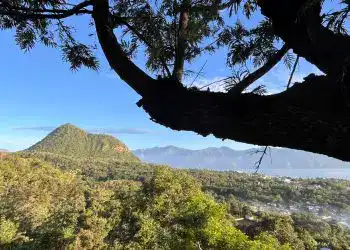 Nube y cielo despejado sobre vegetación y montañas, vista panorámica desde un árbol. Paisaje natural de montaña y bosque en un entorno tranquilo y hermoso para la revista SoyMigrante.com REVISTA.
