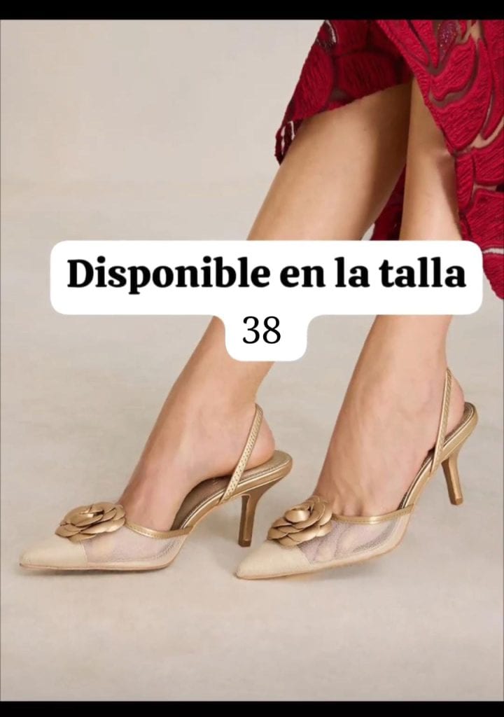 Zapatos de tacón elegantes de mujer disponibles en talla 38, con diseño de flor en la punta, zapatos de moda para ocasiones formales y stylish, perfectos para complementar outfits de noche o eventos especiales, imagen promocional de calzado femenino de alta calidad. – SoyMigrante.com REVISTA