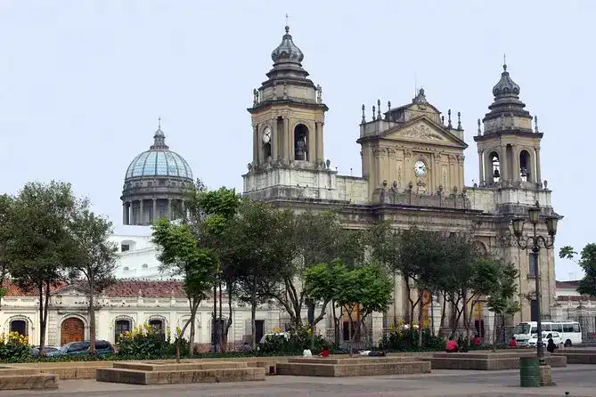 Catedral Colonial en el centro histórico de la ciudad en un día despejado y con árboles verdes en primer plano. – SoyMigrante.com REVISTA