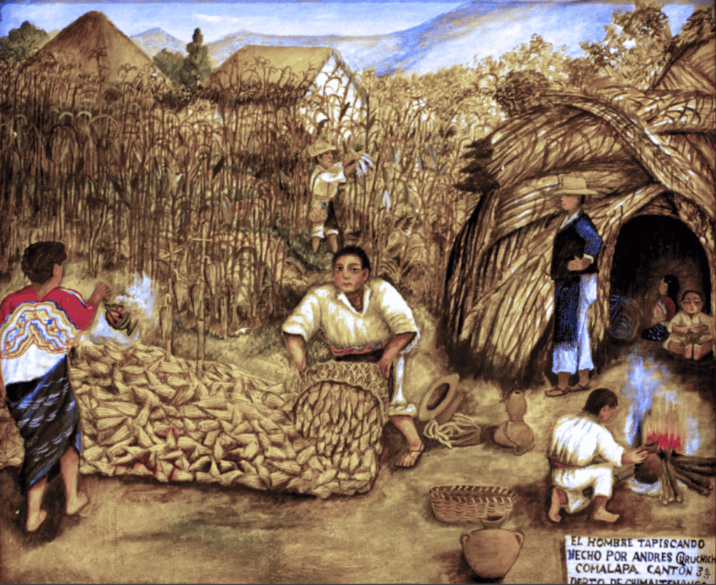 Cosecha de maíz en una comunidad tradicional mexicana, artesanos y agricultores en actividades rurales, escena cultural y agrícola, migrantes en suelo mexicano.