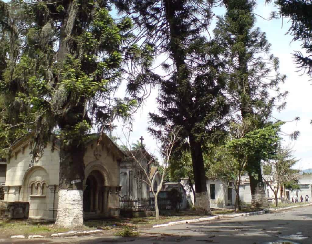 Árboles grandes y un cementerio con tumbas en un entorno tranquilo y sombrío en un día soleado en un barrio antiguo de la ciudad. – SoyMigrante.com REVISTA