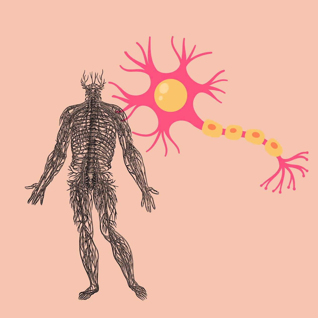 ¿Qué es la esclerosis múltiple y cómo se puede enfrentar?