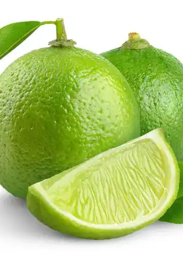 El limón: el pequeño cítrico con grandes superpoderes para el cuerpo – SoyMigrante.com REVISTA Refresco de lima con dos limones enteros y una rodaja, en fondo blanco. – SoyMigrante.com REVISTA