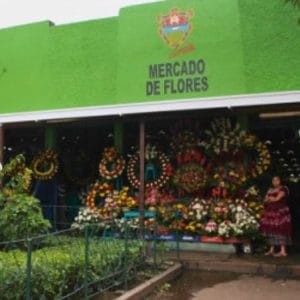 Mercado de Flores: Tradición y color en la zona 3 – SoyMigrante.com REVISTA Flores en el mercado de flores, Mercado de Flores, flores frescas y arreglos florales, entorno colorido y vibrante en el mercado, lugar popular para comprar flores en SoyMigrante.com REVISTA. – SoyMigrante.com REVISTA