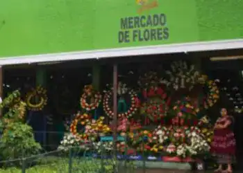 Flores en el mercado de flores, Mercado de Flores, flores frescas y arreglos florales, entorno colorido y vibrante en el mercado, lugar popular para comprar flores en SoyMigrante.com REVISTA.