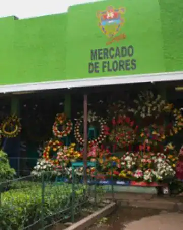 Flores en el mercado de flores, Mercado de Flores, flores frescas y arreglos florales, entorno colorido y vibrante en el mercado, lugar popular para comprar flores en SoyMigrante.com REVISTA. – SoyMigrante.com REVISTA