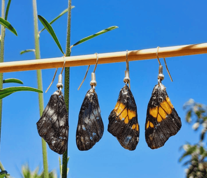 Pendientes elaborados con alas reales de mariposa, recubiertas y conservadas con resina transparente.