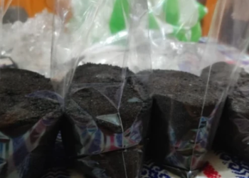 La sal negra: un mineral ancestral que ahora puedes encontrar en Mercado