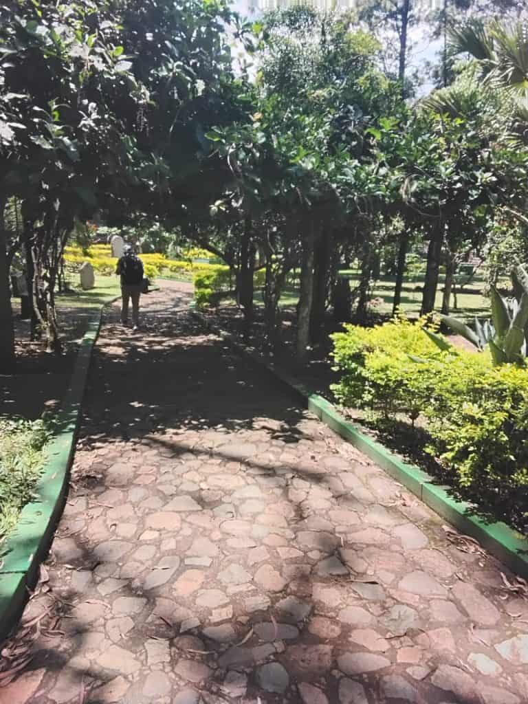 El parque cuenta con lugares para hacer caminatas. (Foto: Abel Juárez) – SoyMigrante.com REVISTA