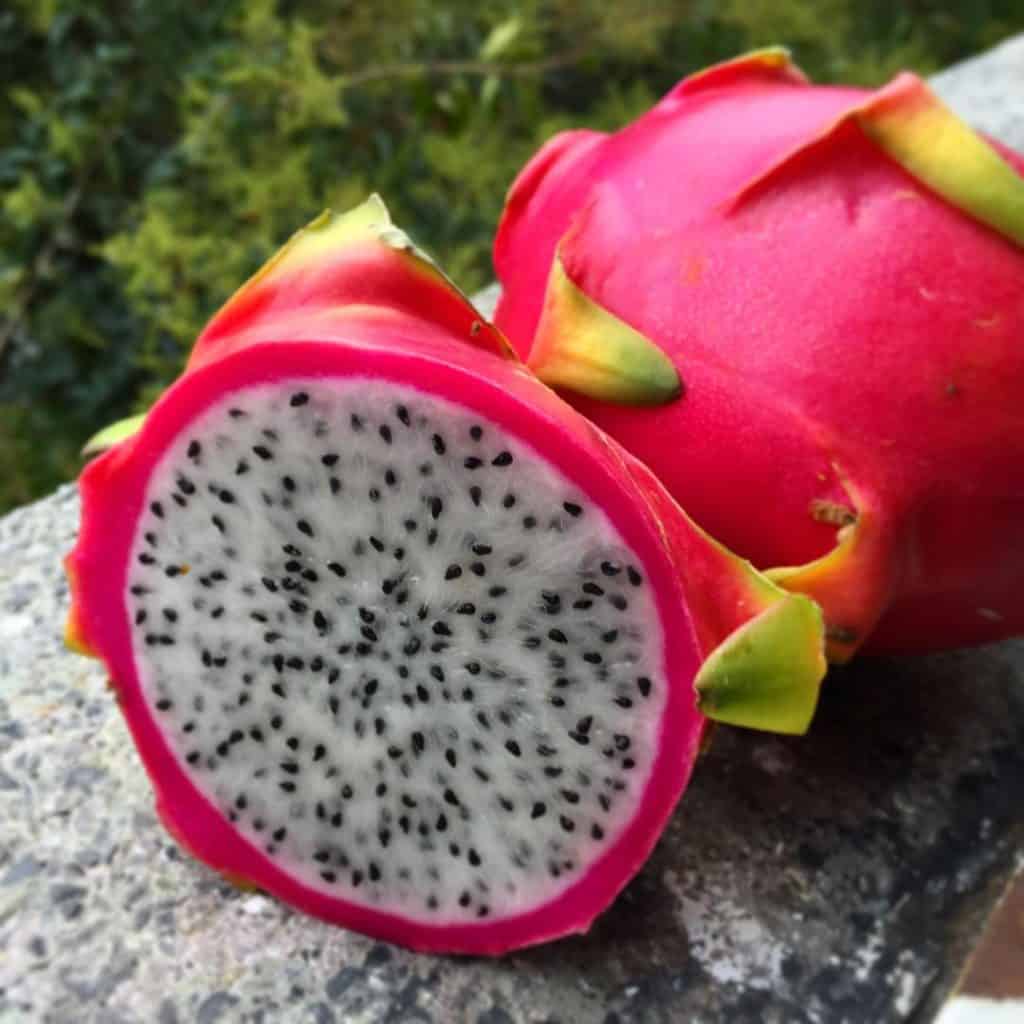 La pitaya es una fruta conocida por su aspecto. (Foto: Envato) – SoyMigrante.com REVISTA