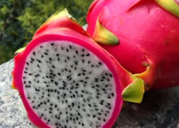 La pitaya: la fruta exótica que nutre el cuerpo