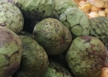 Los superpoderes de la anona: la fruta exótica que ayuda a la salud