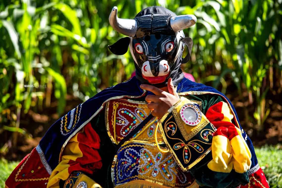 Al ser una variante de la danza de toritos, el Baile de Mexicanos cuenta con este personaje. (Foto Marcos Zarate)