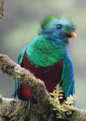  – SoyMigrante.com REVISTA