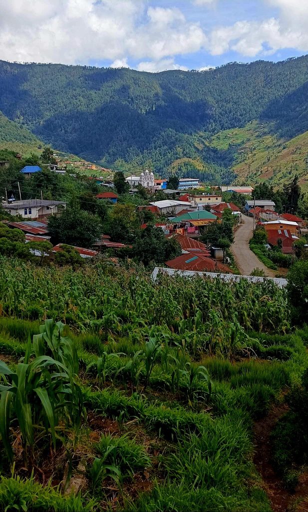 San Miguel Acatán, Huehuetenango, tiene una altura promedio de 1780 metros sobre el nivel del mar. Es un poblado tranquilo, dedicado a la agricultura y el comercio. Dentro de sus cultivos está el café, que ahora puedes disfrutar sin salir de tu casa a través de SoyMigrante.com MERCADO y Café Marbel. Clic en la imagen para pedirlo. – SoyMigrante.com REVISTA