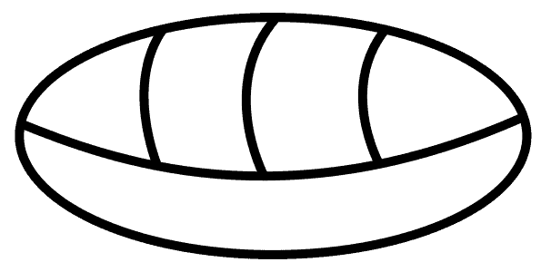 Los mayas fueron los inventores del concepto del "cero" en la numeración. Y el símbolo para representarlo era un fruto de cacao, prueba de la enorme importancia que tenía este fruto y su grano en la cultura prehispánica. – SoyMigrante.com REVISTA