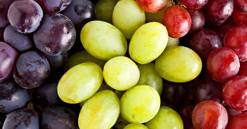 Las uvas ayudan a bajar de peso. (Foto: Envato) – SoyMigrante.com REVISTA Las uvas ayudan a bajar de peso. (Foto: Envato) – SoyMigrante.com REVISTA