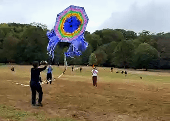 barrilete gigante en brooklyn ny – SoyMigrante.com REVISTA