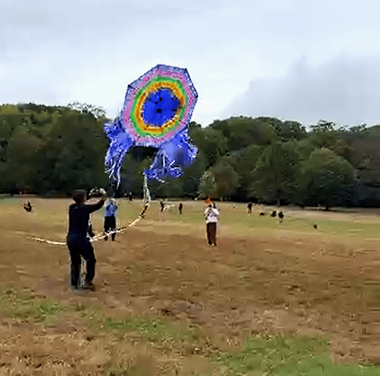 barrilete gigante en brooklyn ny – SoyMigrante.com REVISTA