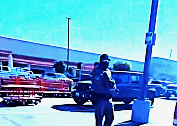 wola estudio – SoyMigrante.com REVISTA