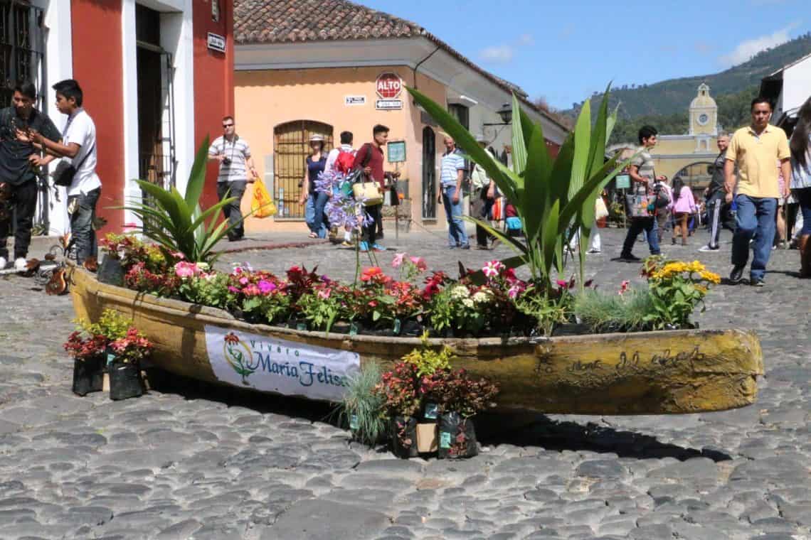 La creatividad floreció desde el inicio del Festival de las Flores de Antigua Guatemala en 2017 – SoyMigrante.com REVISTA