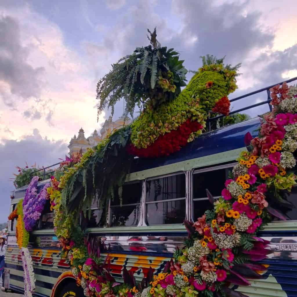 antigua guatemala festival de las flores 2025 3 – SoyMigrante.com REVISTA