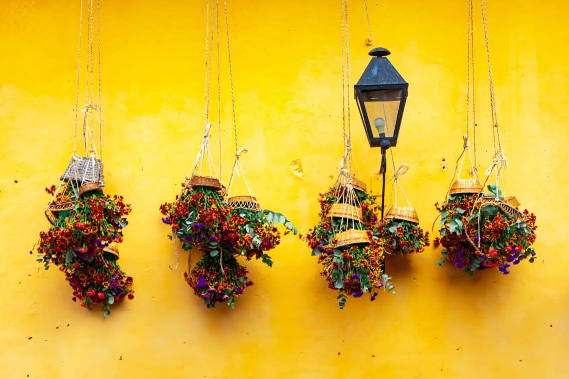 El tradicional "amarillo antigüeño" combina perfectamente con la primavera – SoyMigrante.com REVISTA