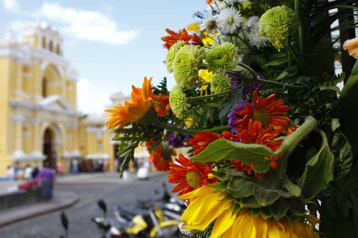Muros coloniales fueron lienzo de la frescura y vivacidad de las flores en el Festival de 2018 – SoyMigrante.com REVISTA